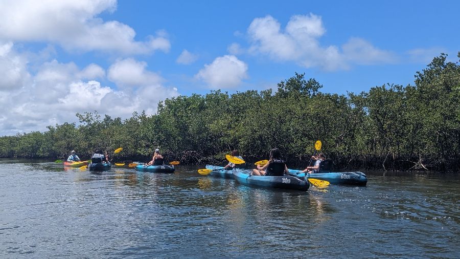 Florida marine discovery