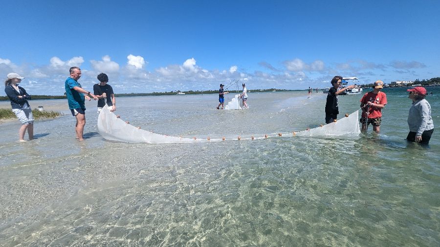 Florida marine discovery