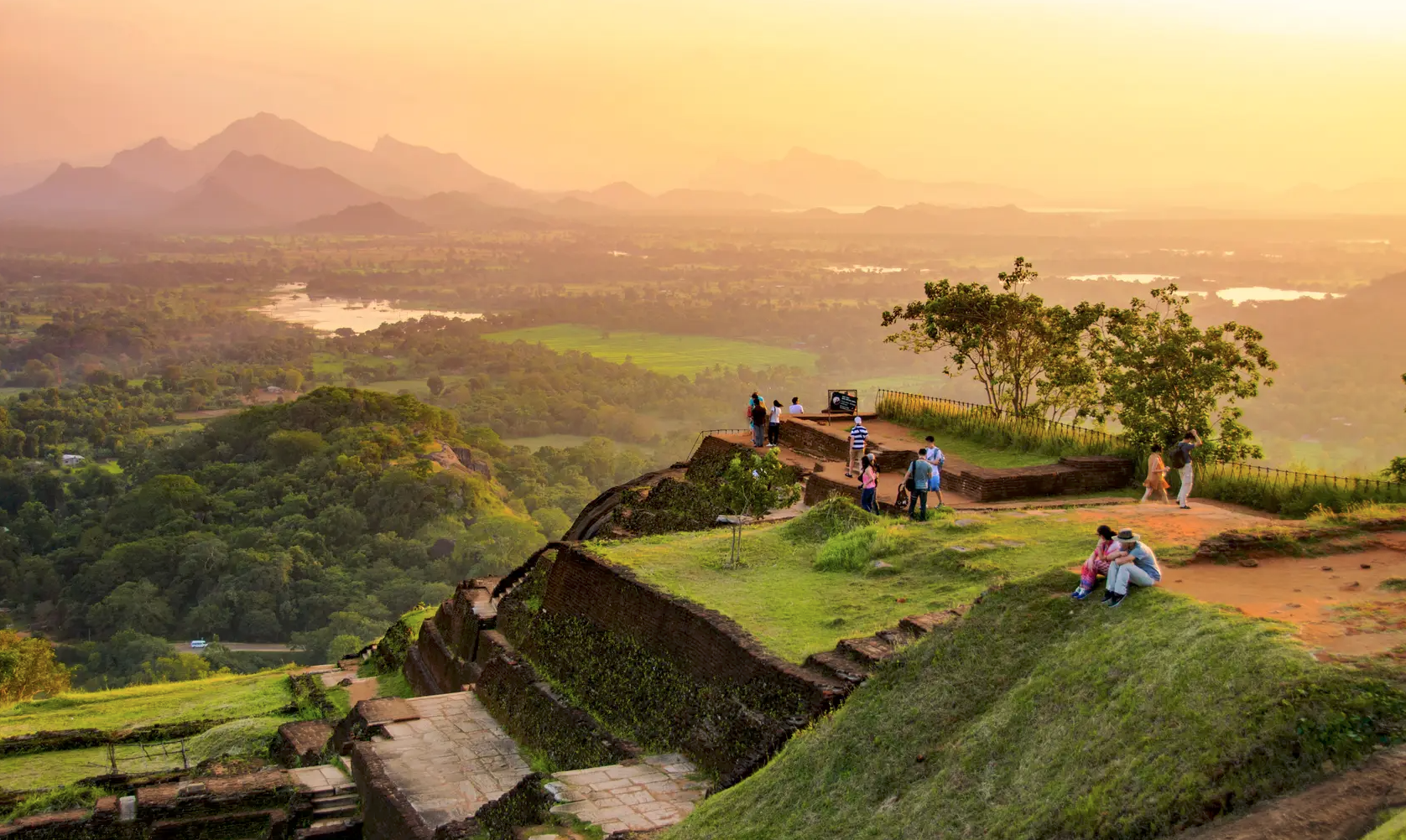 Tea Plantations in Sri Lanka