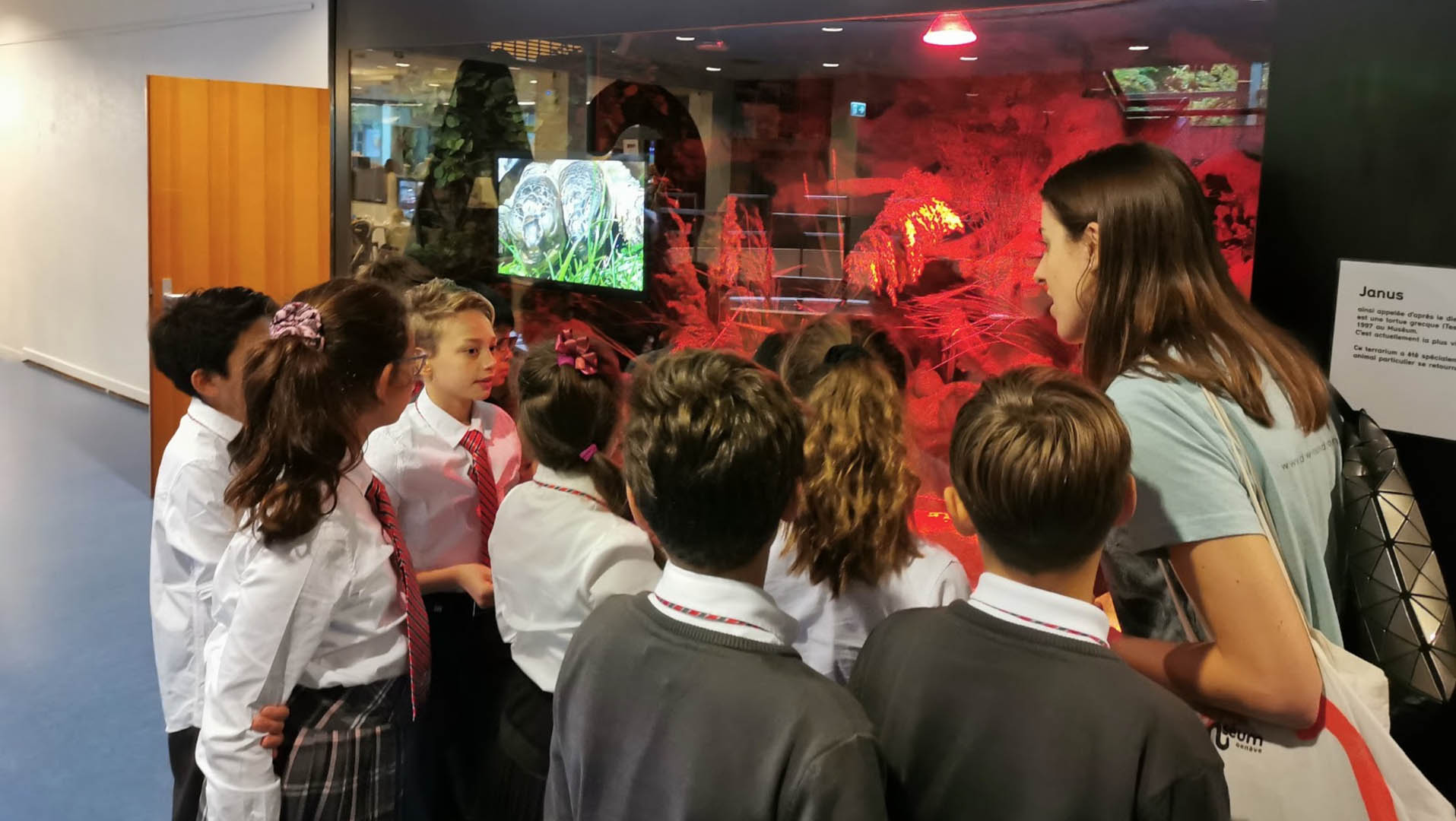 Natural History Museum in Geneva