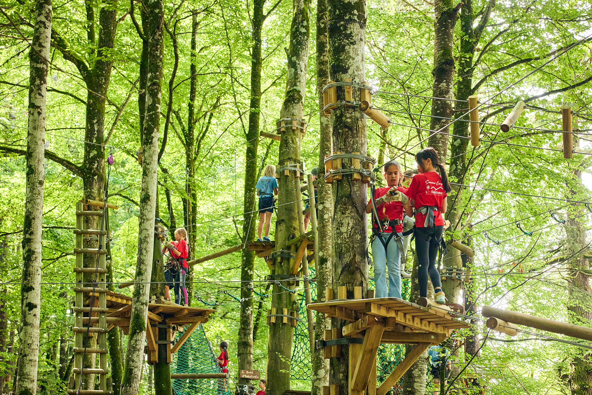 Rope park course set among tall forest trees