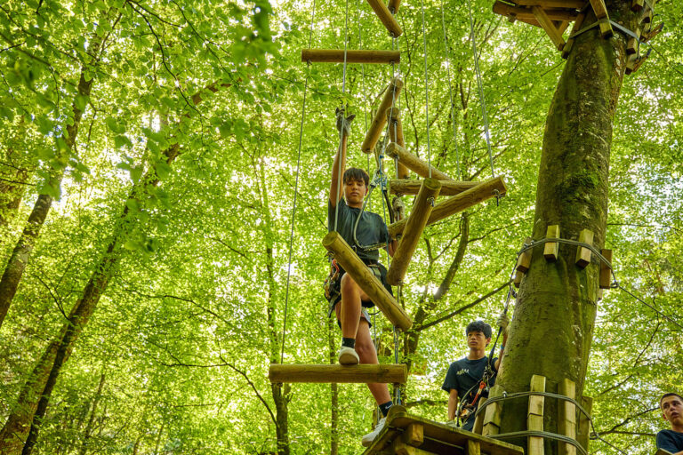 Students in rope park during outdoor adventure activity